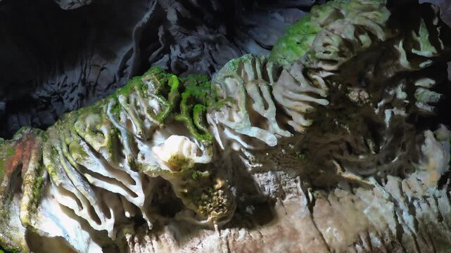 Close up macro shows moss growing on moist limestone layers along damp cave wall surface.