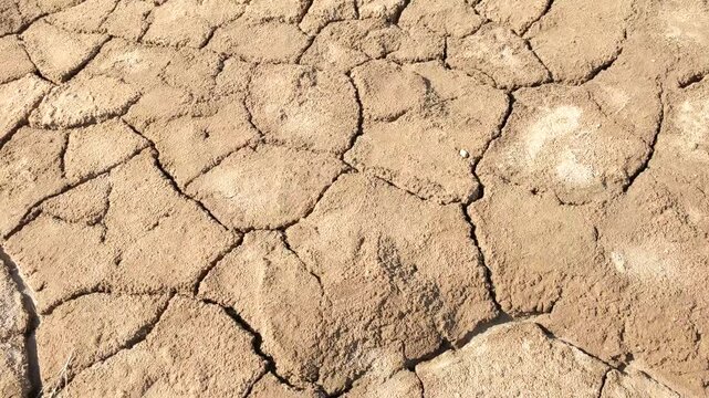 Cracked dry mud texture showing drought and soil erosion