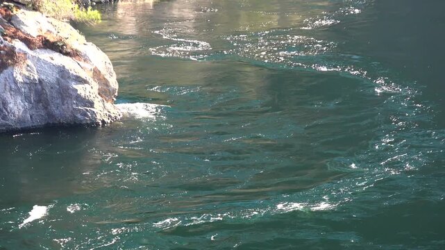 Rotational vortex motion forms a visible whirlpool on flowing river water surface.