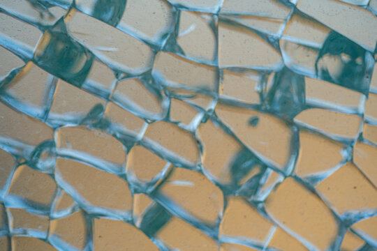 Broken tempered glass window in detail.