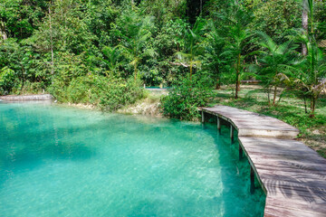 Naklejka premium beautiful crystal clear natural pool in Presidente Figueiredo, Amazonas, Brazil