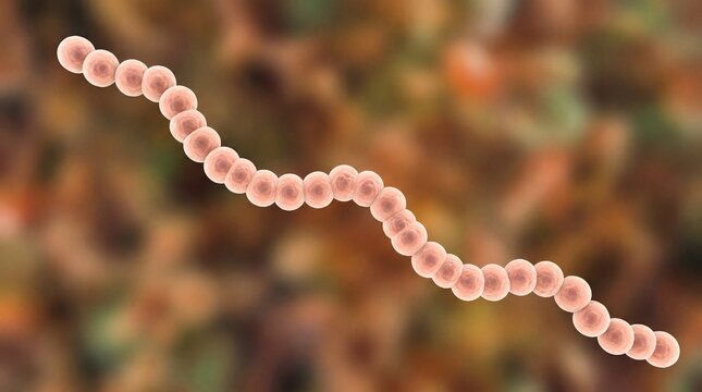 3D render of Streptococcus bacteria chain on blurred background