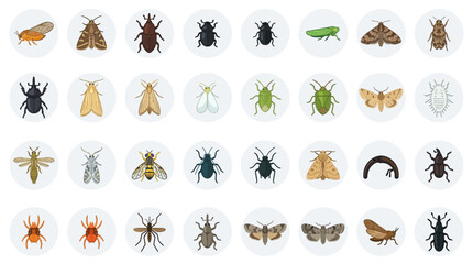 Fototapeta premium Collection of Various Insect Icons