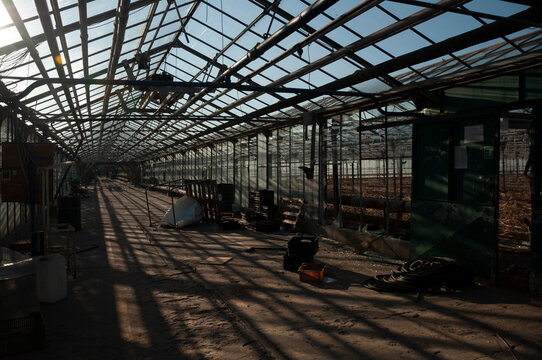 Abandoned old industrial glass greenhouse with dry dead plants and withered crops
