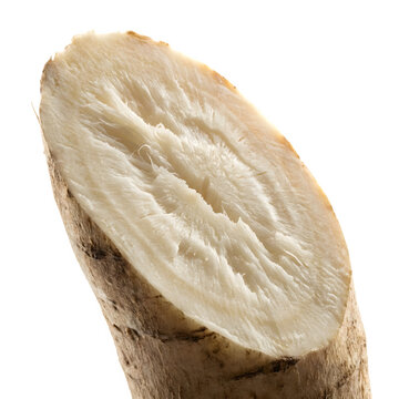 Fresh cassava root cut in half, sliced raw yuca tuber with fibrous white flesh, organic manioc vegetable on white background