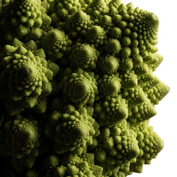 Romanesco broccoli macro texture, fractal green cauliflower close up. Organic vegetable pattern, healthy food background.