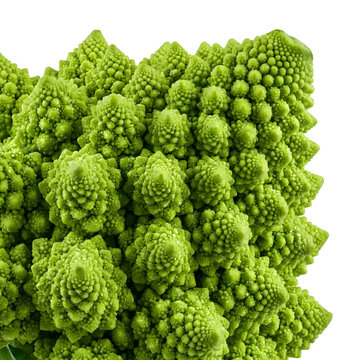 Romanesco broccoli macro, vibrant green fractal vegetable on white background, fresh organic romanesco cauliflower texture