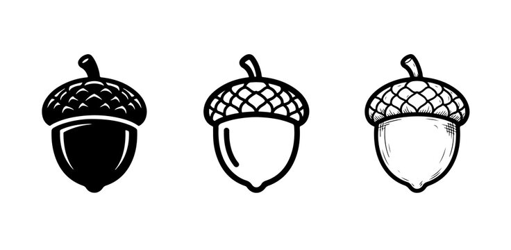 Minimalist acorn icon set vector illustration with three styles