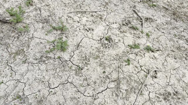 Dry cracked earth surface pattern macro detail