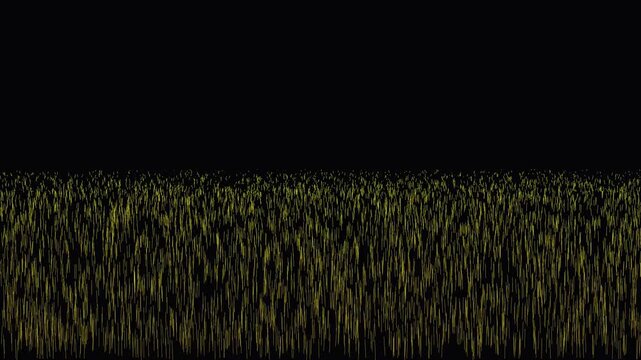 Golden grass blades swaying gently in soft studio light creating a smooth transition for nature scenes