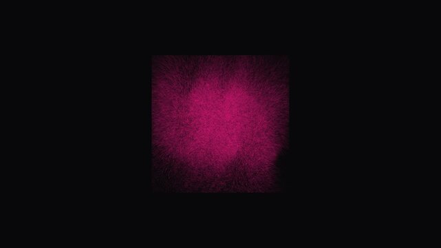 Abstract Pink Streaks Moving With Glitch Effect Over Black Background Cinematic Motion