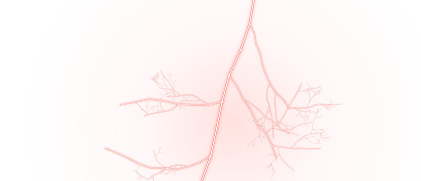 Abstract digital illustration featuring delicate pink branching structures resembling neural networks or biological veins set against clean white background space