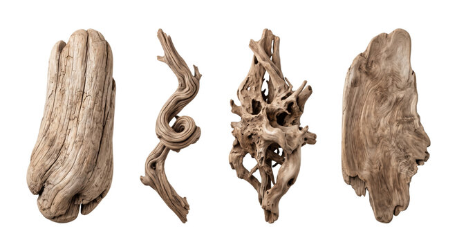 Set of natural weathered driftwood and rustic wood pieces