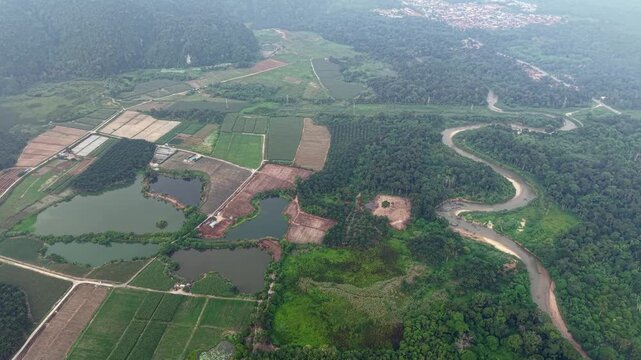 Aerial view showcases extensive farmland and a curved river. Waterway winds through green fields at Kampar, Perak
