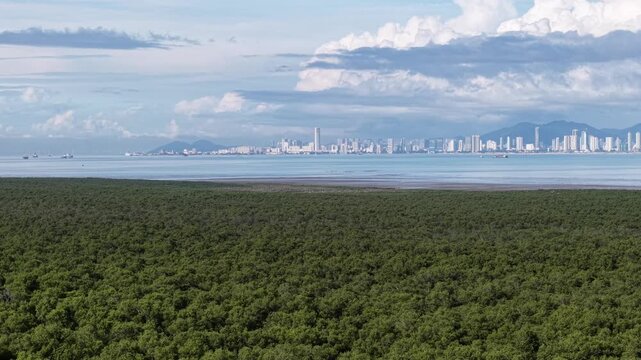 Lush green mangroves stretch toward distant city skyline at Penaga, Penang