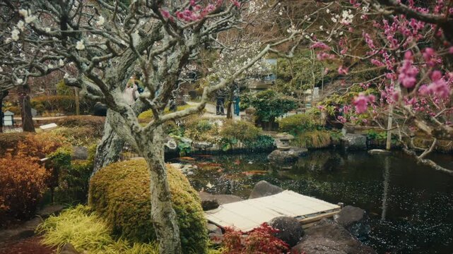 Koi fish swim gracefully in a tranquil pond at Hase-dera Temple in Kamakura, surrounded by blooming plum trees, a traditional stone lantern, and lush garden greenery.