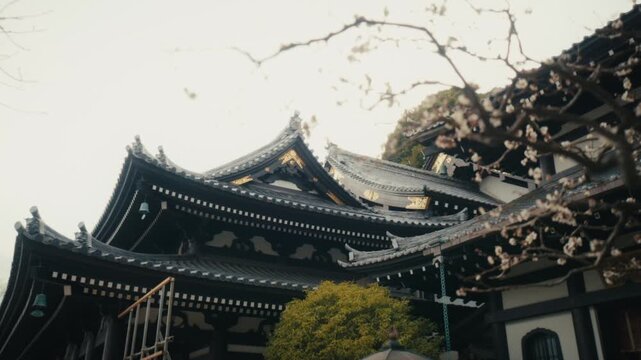 Low-angle detail shot of Hase-dera temple's main hall in Kamakura, highlighting the intricate, tiered rooflines and traditional dark timber craftsmanship.
