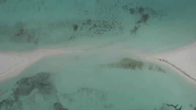 Drone top down iconic sandbank in Los Roques Venezuela surrounding by sea shallow turquoise water exceptionally calm and clear with submerged coral reefs. 4K uncorrected D-Log palette