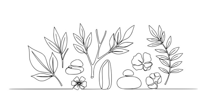 Minimalist Line Art: Leaves, Stones, and Flowers on Transparent Background