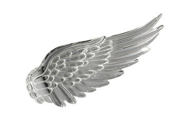 Obraz premium Large silver decorative feather wing isolated