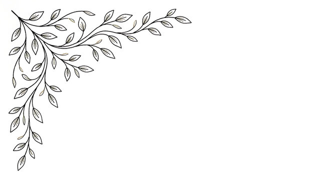Elegant hand drawn floral corner border with leaves and vines.