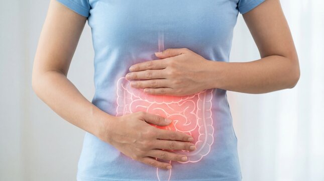Woman holding her stomach with highlighted intestine illustration. Abdominal pain, digestive system health and gastrointestinal issue. Medical concept of stomach ache and internal organ.