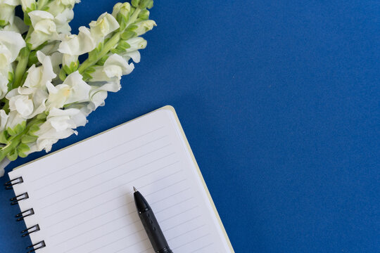 White flowers sit beside a blank notebook. Black pen rests near lined pages, ready to write. Blue background adds calm, focused energy. Perfect for creative, planning, or reflective moments