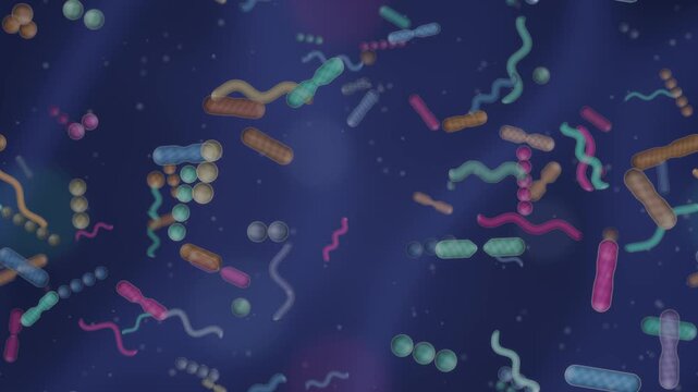 Gut microbiome bacteria ecosystem rod coccus and spiral microbes dividing in mucus seamless loop in bright indigo tones