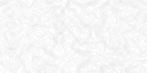 Abstract grid landscape topography white background. white and black relief line wireframe isoline location diagram world map texture design.  © MOHAMMAD