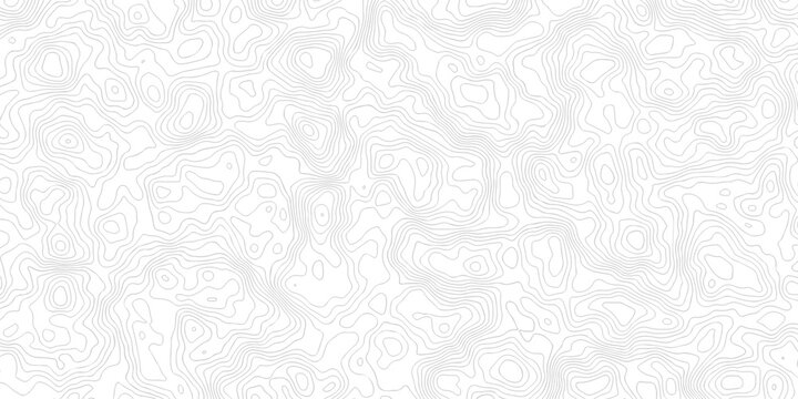 Abstract grid landscape topography white background. white and black relief line wireframe isoline location diagram world map texture design.	