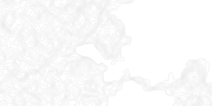 Abstract grid landscape topography white background. white and black relief line wireframe isoline location diagram world map texture design.	