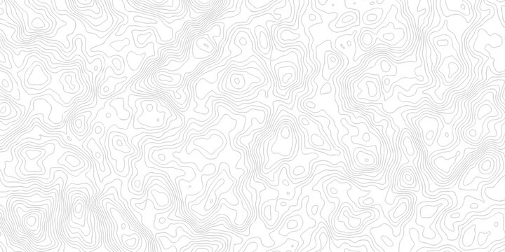 Abstract grid landscape topography white background. white and black relief line wireframe isoline location diagram world map texture design.	