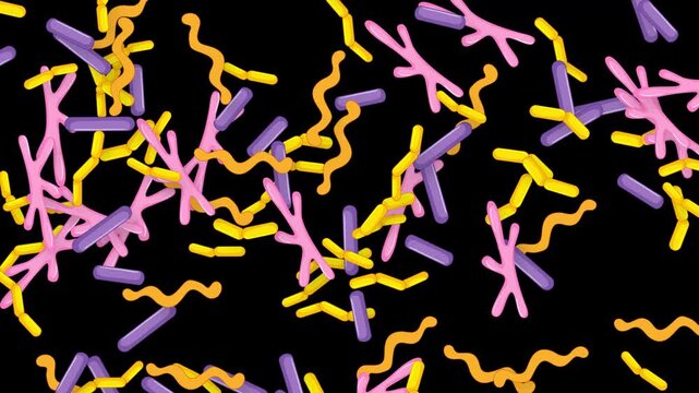 Colorful Microscopic Organisms and Bacteria Falling Against a Black Background