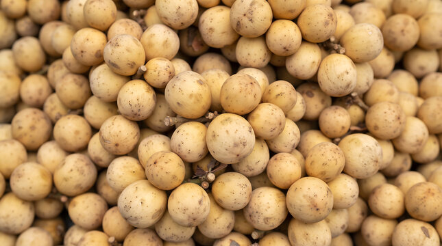 Fresh tropical longkong fruit background, delicious sweet asian duku langsat ripe fruit pile in market
