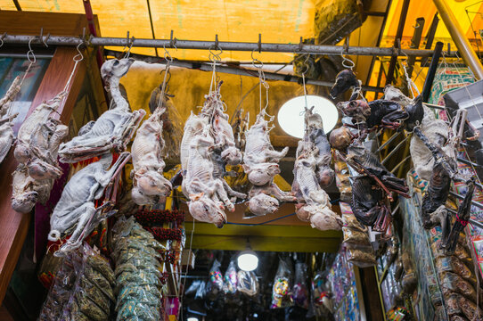 Dried llama fetuses at the Witches Market in La Paz, Bolivia