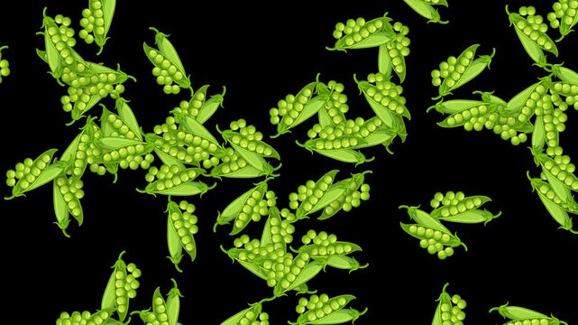Falling Green Pea Pods Animation on Solid Black Background