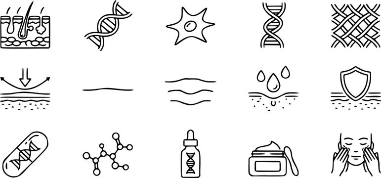 Dermatology line icons for skincare science, 15 medical skin care symbols, cosmetic dermatology and molecular biology vector set for beauty packaging