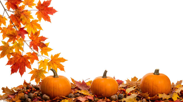 A beautiful autumn scene with vibrant pumpkins and colorful leaves evokes the spirit of thanksgiving and fall harvest celebrations