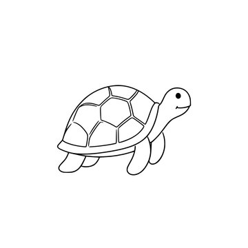 hand drawn doodle turtle icon