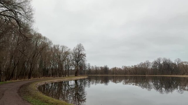 Quiet leafless trees and mirrorlike pond water under overcast sky, wide horizontal winter landscape with strong reflections, soft muted tones, and calm natural scenery for peaceful outdoor concepts