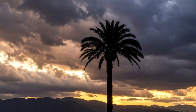 Palm tree silhouetted against fiery sunset sky.