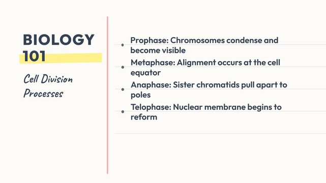 Cell division process, phases of prophase, metaphase, anaphase, telophase, educational animation, symbolizing biology