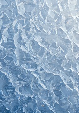 Frozen Lacework