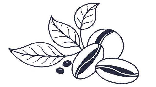 Fresh coffee beans and green plant leaves graphic with botanical, caffeine