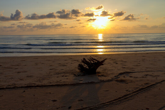 Sunrise on sea and silhouette of log