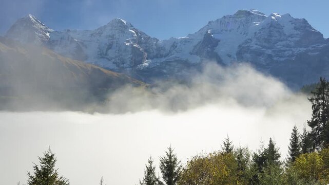 Grutschalp viewpoint overlooking sea of clouds, autumn forest and snow-capped Eiger, Monch and Jungfrau mountains. Lauterbrunnen, Canton of Bern, Switzerland.