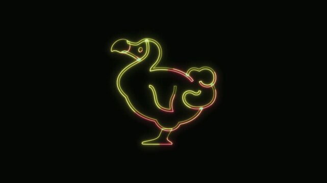  Dodo Animal Icon Neon Seamless Loop 4K with Black Background Animated Promotional Typography for Video Editing