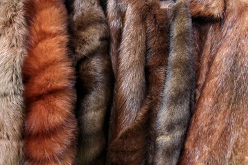 Naklejka premium Assorted luxurious real fur coats hanging closely together in a row creating a textured soft brown and red winter fashion background. Textured background or textile material pattern