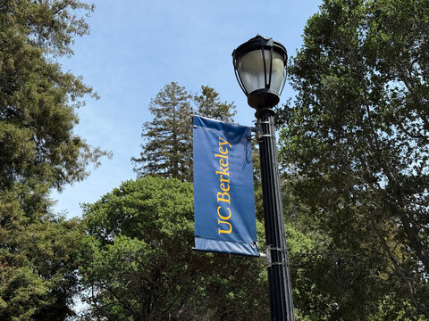 UC Berkeley banner hanging from a black campus lamppost among trees under a clear sky - Berkeley, California, USA - April 18, 2026