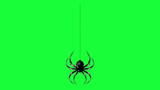 A black spider hanging from a single thread on a green background